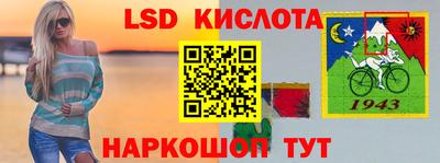 гашик Тверь