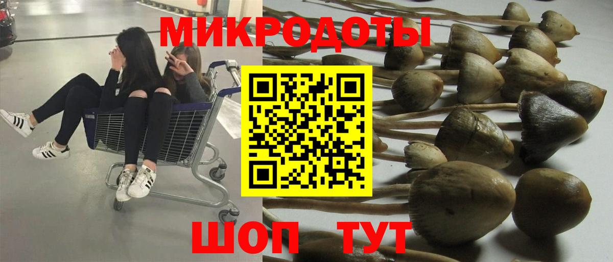 Псилоцибиновые грибы прущие грибы Нальчик