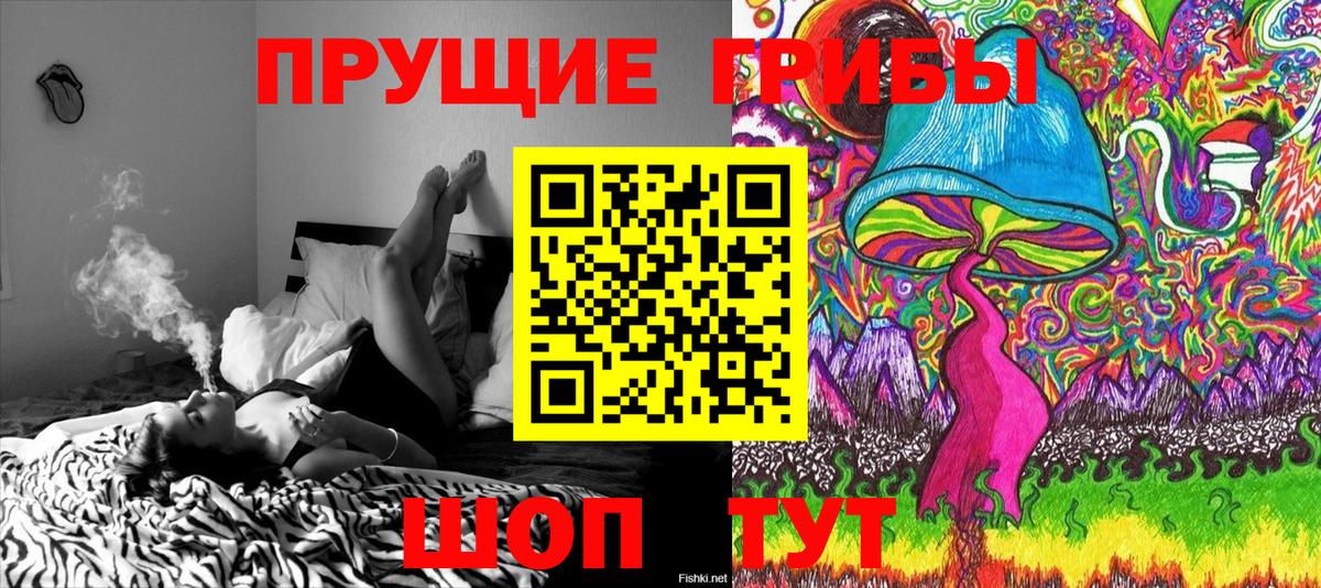 Нальчик  Галлюциногенные грибы Psilocybine cubensis  Псилоцибиновые грибы GOLDEN TEACHER  Вход с VPN 